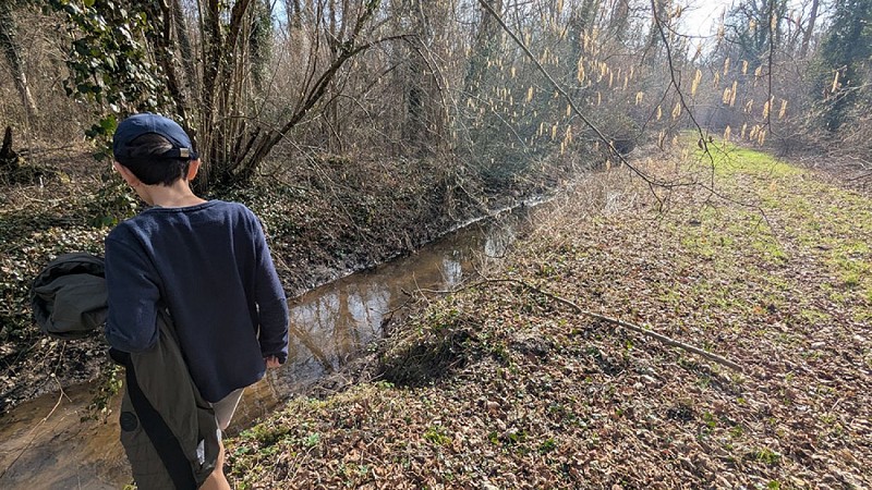 Forêt de Lavergny III