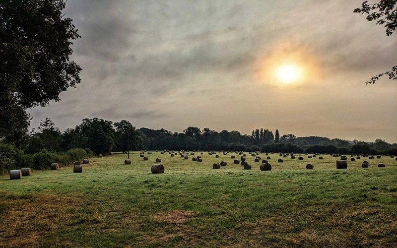 Autour du Bois de Saint-Georges
