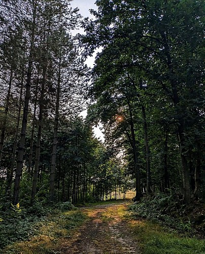 Autour du Bois de Saint-Georges