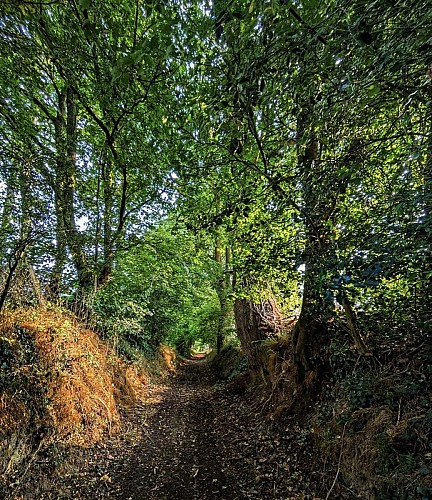 Autour du Bois de Saint-Georges