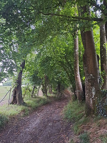 Autour du Bois de Saint-Georges