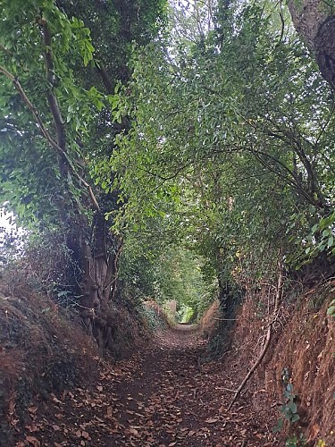 Autour du Bois de Saint-Georges