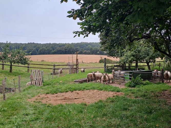 Autour du Bois de Saint-Georges