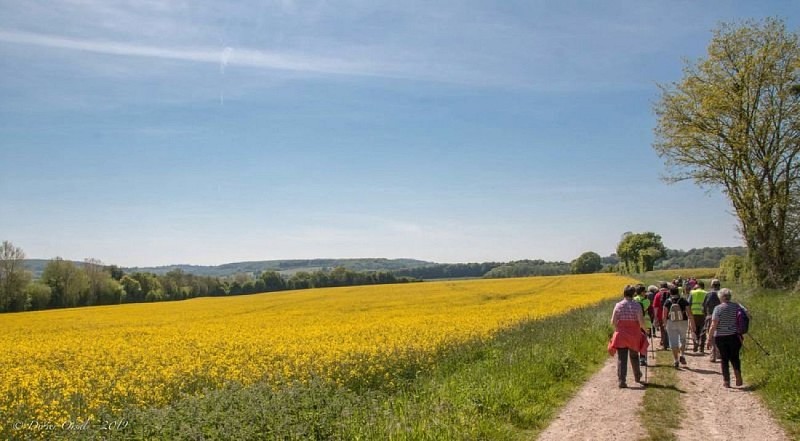 La sentinelle de la Commeauche