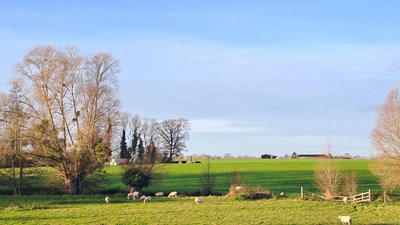 Entre Loisail et Courgeon