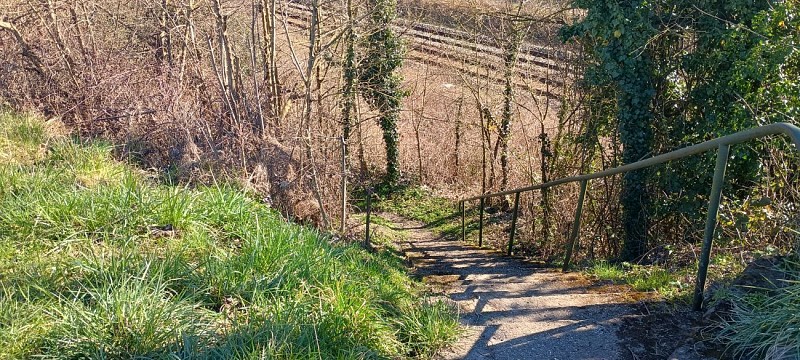 Le Courtil des Parpaillots