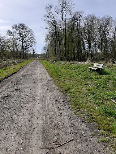 Le Courtil des Parpaillots
