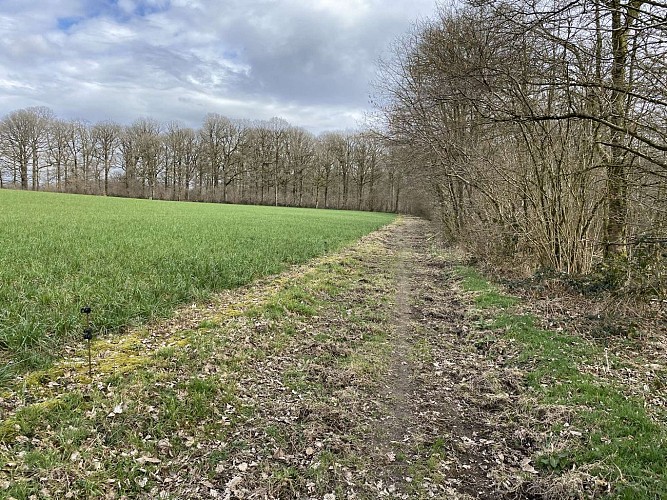 Wandeling  "Bois du Seigneur" (variante) 9,75km