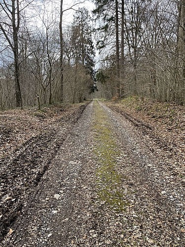 Wandeling  "Bois du Seigneur" (variante) 9,75km