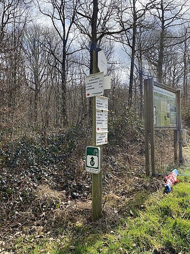 Wandeling  "Bois du Seigneur" (variante) 9,75km