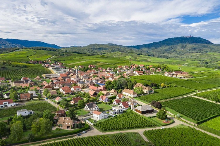 Sentier Géovino - die Terroirs - Rorschwihr