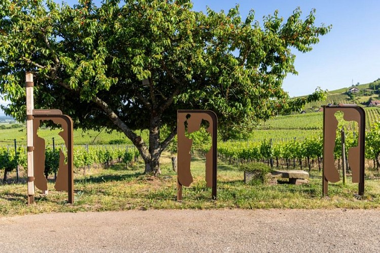 Parcours Géovino - Rodern - Les Vigneron.nes