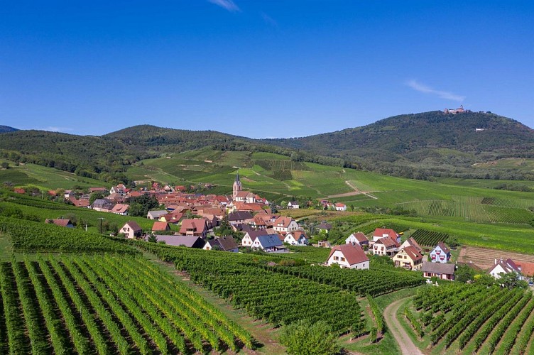 Parcours Géovino - Rodern - Les Vigneron.nes