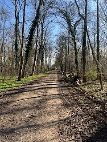 Botanischer Pfad