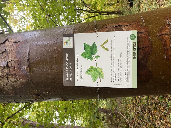 Botanical trail