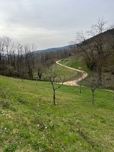 Sentier du vallon Sainte Anne
