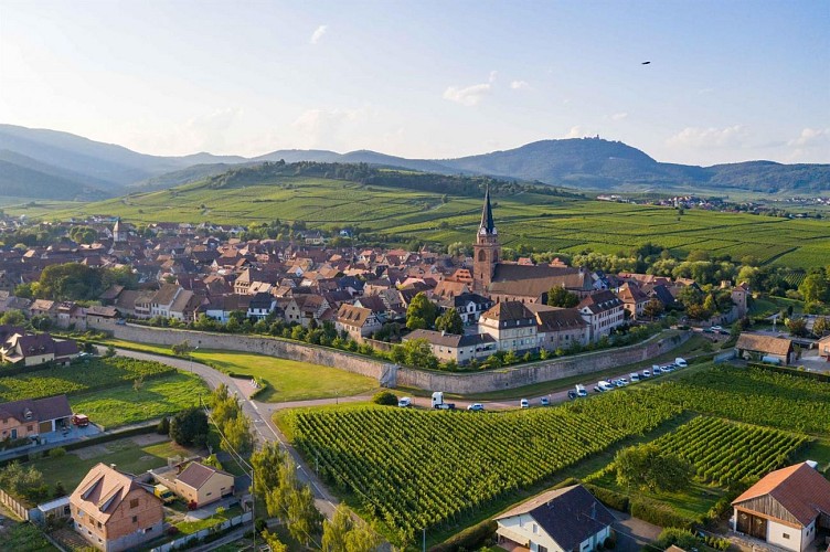Sentier Géovino - les appellations - Bergheim