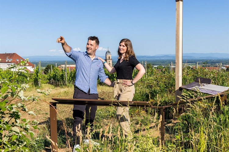 Sentier Géovino - les cépages - Saint Hippolyte