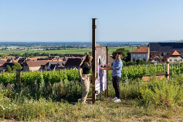 Sentier Géovino - les cépages - Saint Hippolyte
