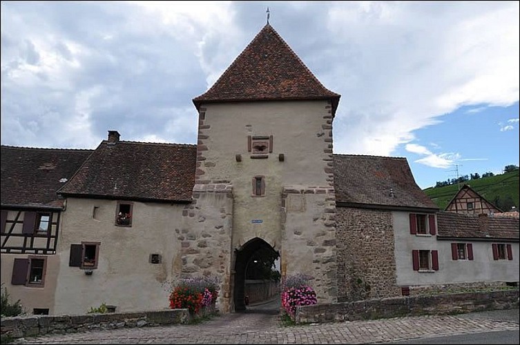 Sentier du Dragon - Interpretationspfad, der dem Weinberg gewidmet ist