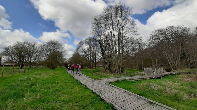 Parcours de découverte "Vallée et marais de Bretoncelles"