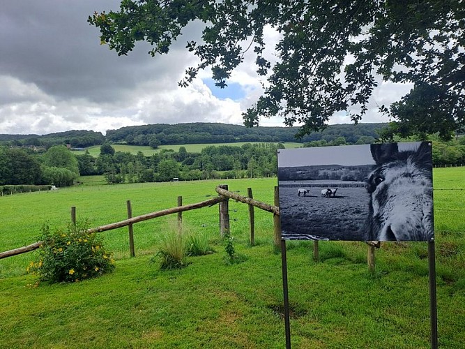 Depuis les hauteurs de Bretoncelles