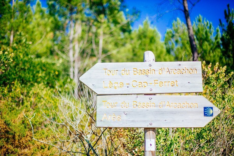 Les Près-Salès d'Arès et de Lège - Réserve Naturelle