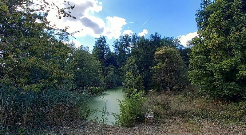 Etang des moines de l'abbaye Saint-Vincent