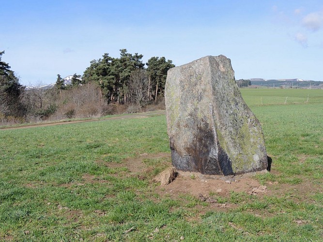 Menhir de Freydefont