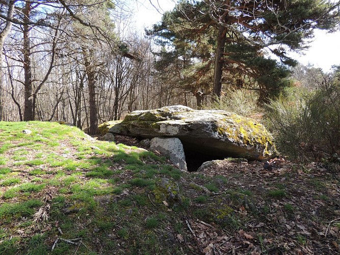 Dolmen de la Pineyre