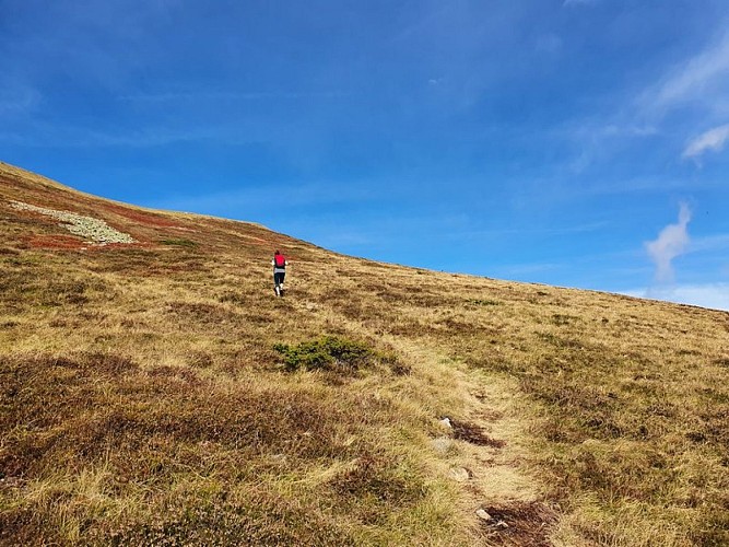 Montée au Mont Né par l'Est 2