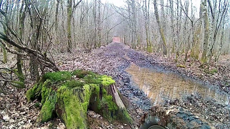 Bois du Bas des Noyes.Entre carrés 23-24