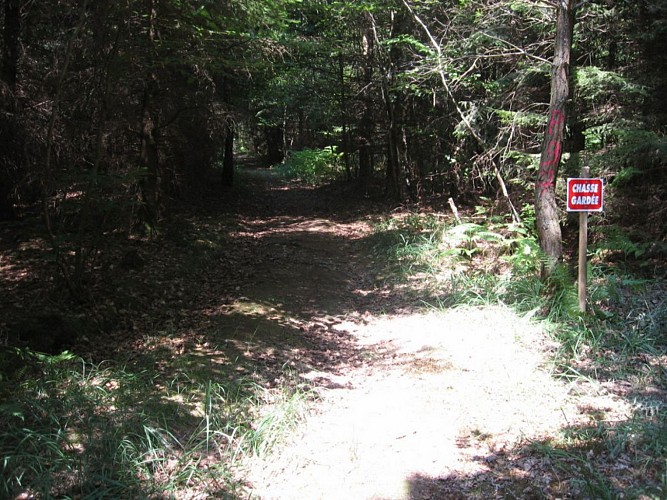 Coupe Rosière.Carré P97