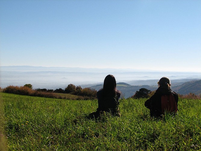 Garolle verte_Châtelneuf