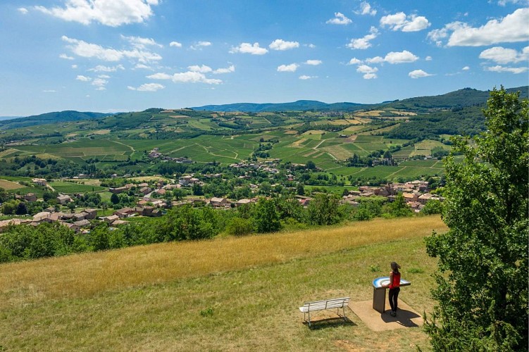 chasselas-bois-fee-paysage-stephane-godin-gsf-solutre-pouilly-vergisson-001
