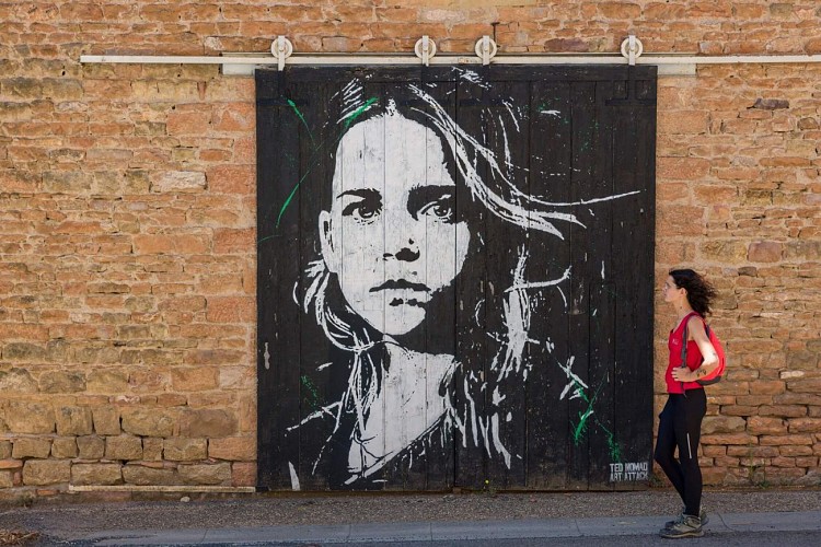 leynes-oeuvre-ted-nomad-stephane-godin-gsf-solutre-pouilly-vergisson-020