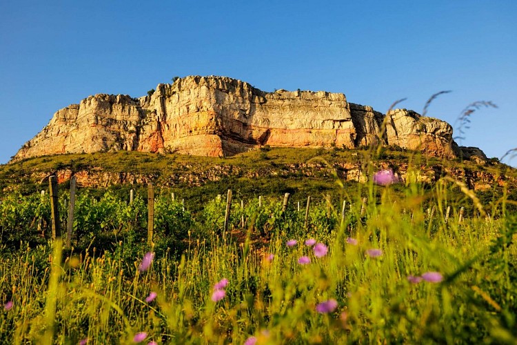 vergisson-roche-paysage-stephane-godin-gsf-solutre-pouilly-vergisson-032