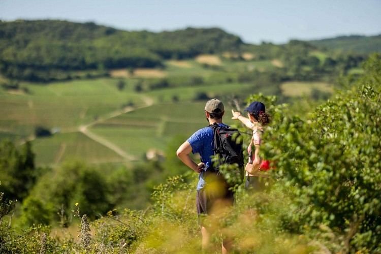 solutre-pouilly-randonnee-stephane-godin-gsf-solutre-pouilly-vergisson-046