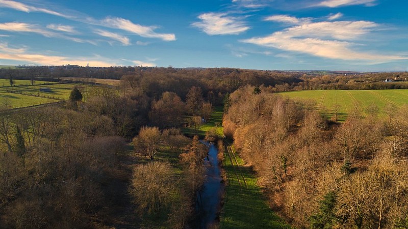 L'Odon (Baron-sur-Odon)
