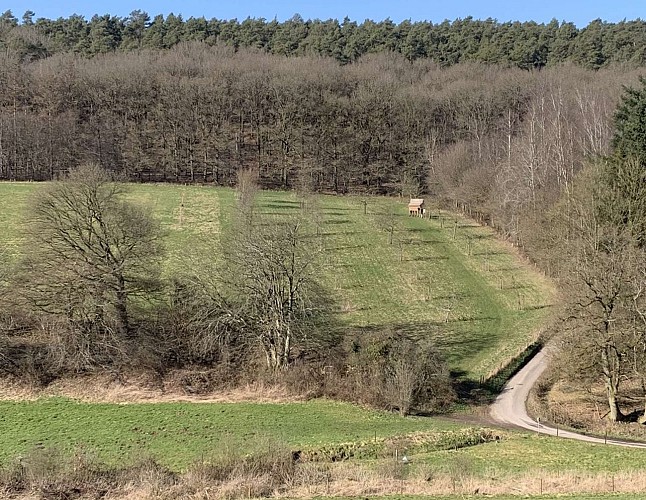 481606197_641321624968351_1334721584275058585_n