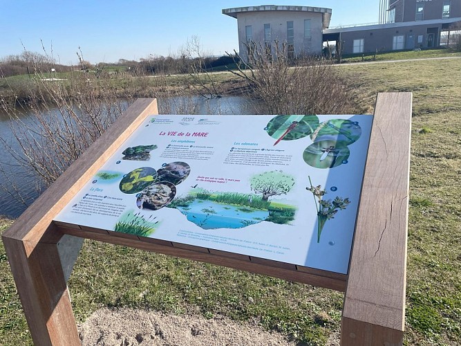 Interprétation du Sentier