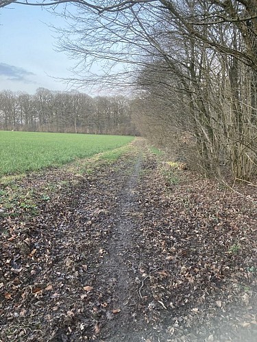 'Bois du Seigneur' Walk - 10.5km