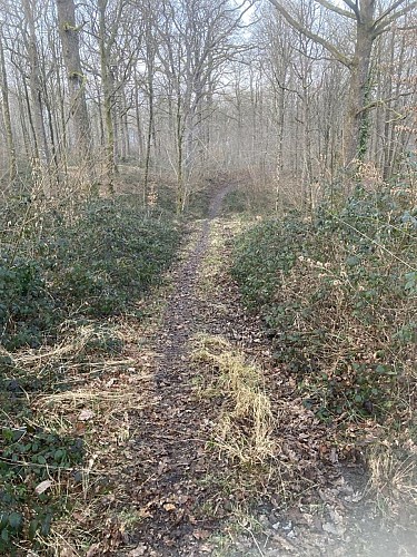 'Bois du Seigneur' Walk - 10.5km