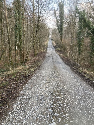 'Bois du Seigneur' Walk - 10.5km