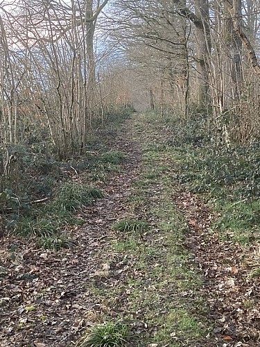 Promenade "Bois du Seigneur" 10,5k