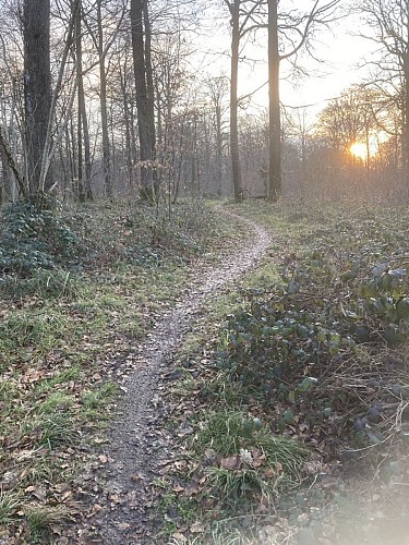 Promenade "Bois du Seigneur" 10,5k
