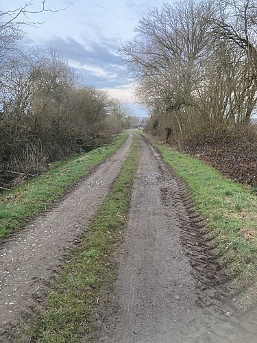Promenade "Bois du Seigneur" 10,5k
