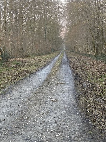 Wandeling "Bois du Seigneur" 10,5km