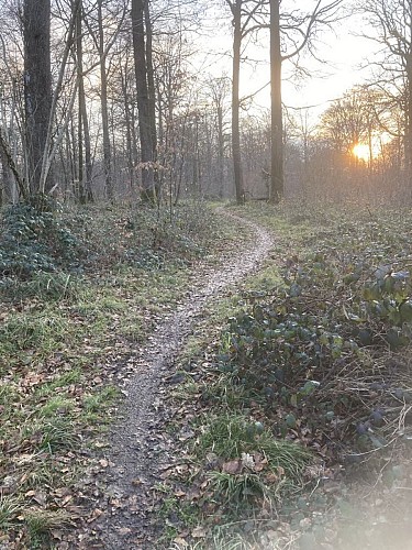 Wandeling "Bois du Seigneur" 10,5km