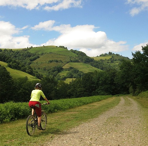 VTT N°2 - Le Soum de Thès